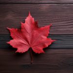 金瓶艳史下载 hec3g2kq